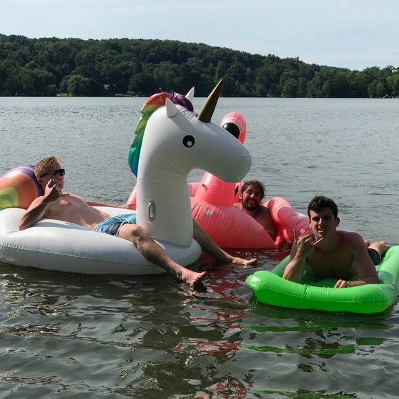 Meet your Posher, Joey - Picture 1 of 1